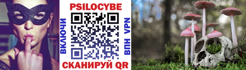 Галлюциногенные грибы Psilocybe  Циолковский 