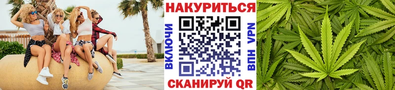 где можно купить наркотик  Циолковский  Конопля план 